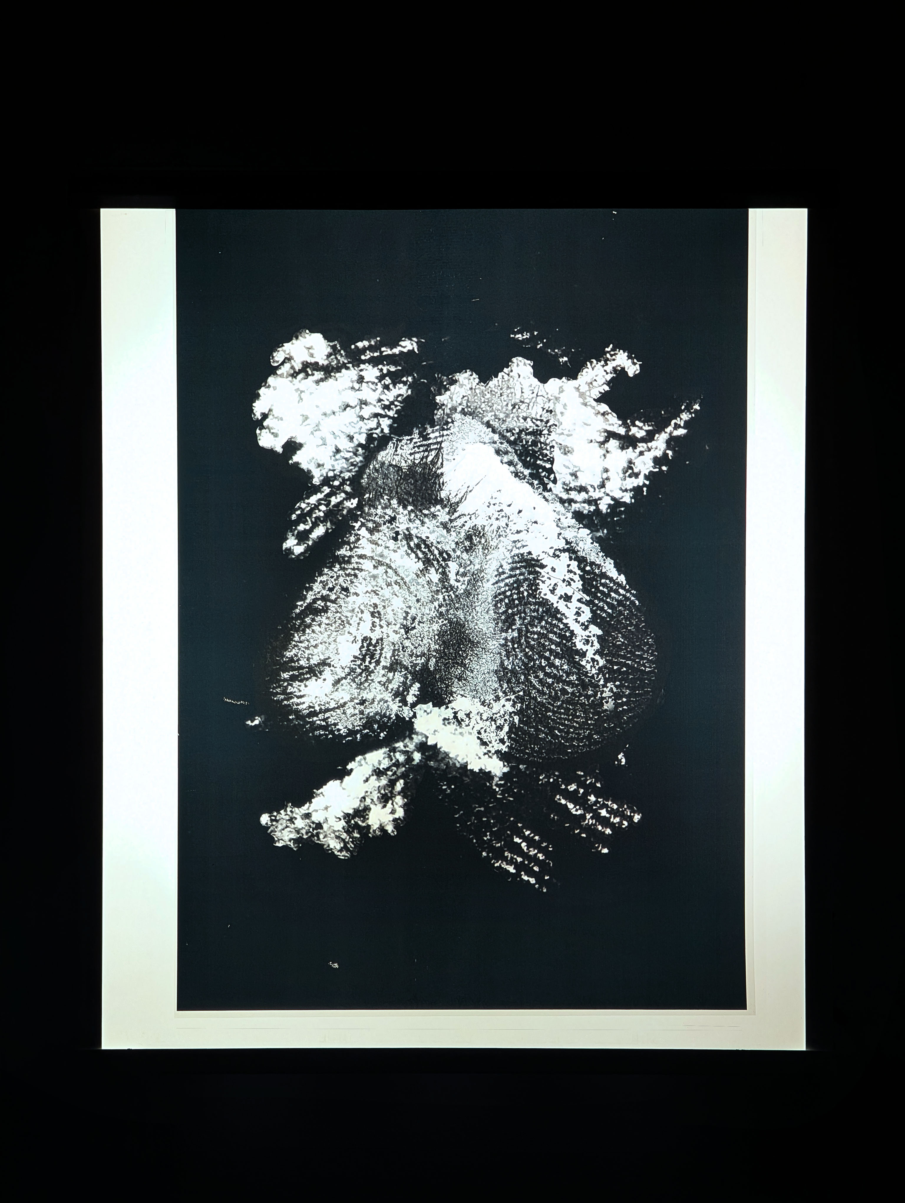 Cartografía materna 02