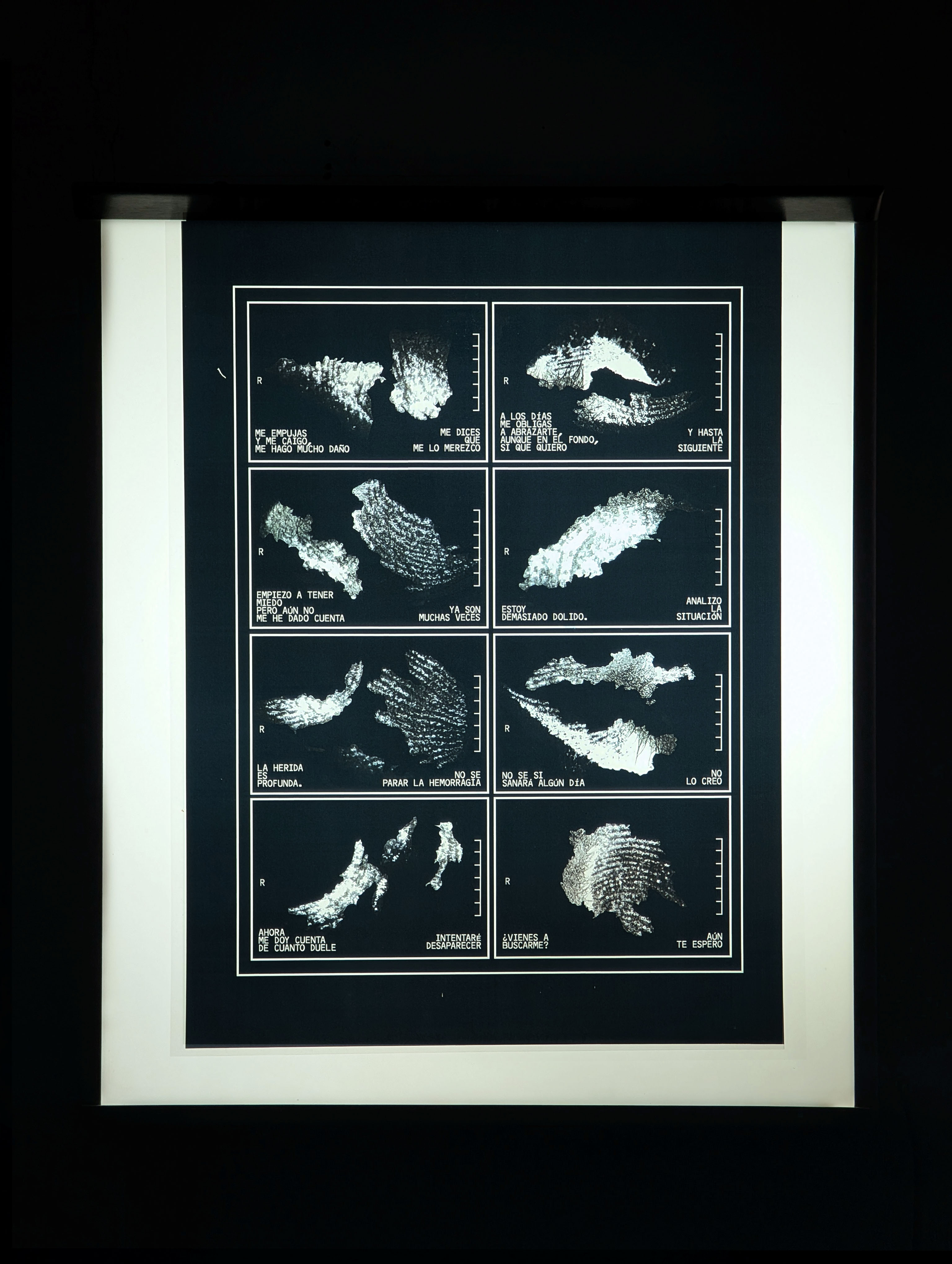 Cartografía materna 03